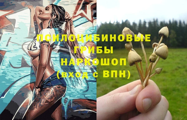 прущая мука Алзамай