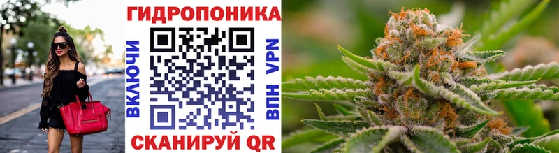 Конопля LSD WEED  закладка  Сольвычегодск 